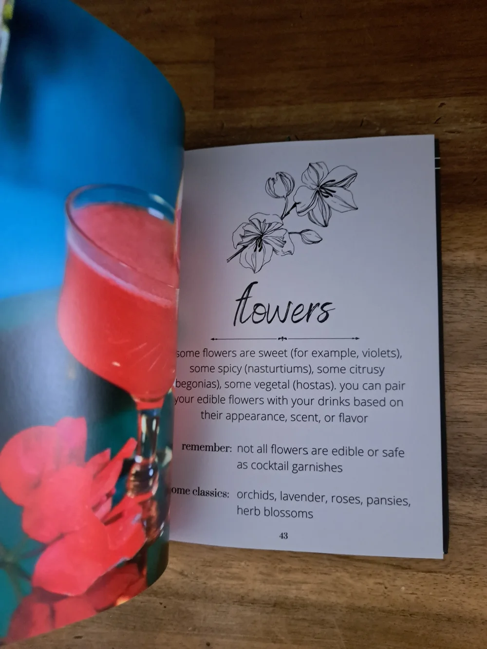 Serve & Sip (Cocktail Recipe Book) - Black